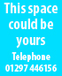 This Space Could Be Yours